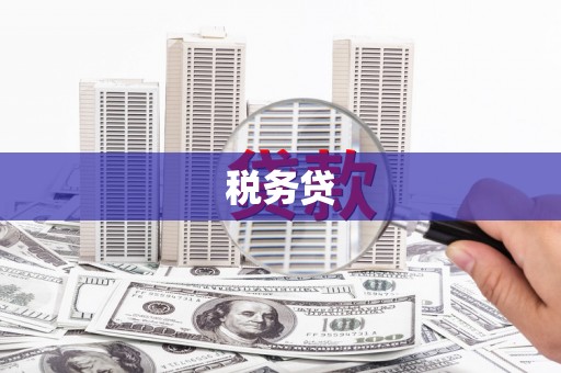 金普新区税务贷