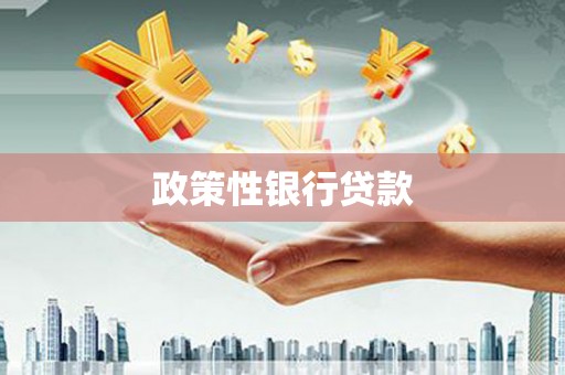 金普新区政策性银行贷款