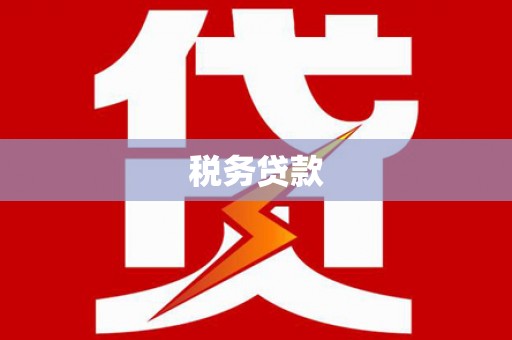 金普新区税务贷款