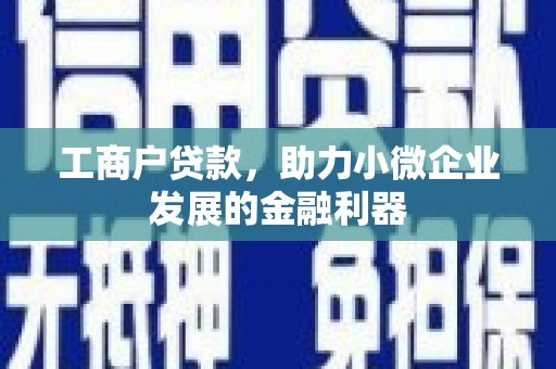 金普新区工商户贷款，助力小微企业发展的金融利器
