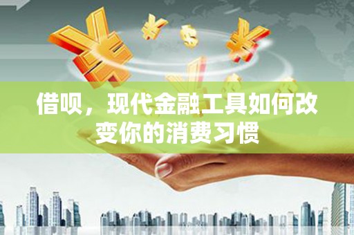 金普新区借呗，现代金融工具如何改变你的消费习惯