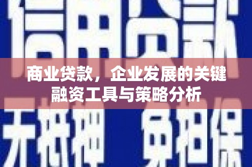 金普新区商业贷款，企业发展的关键融资工具与策略分析