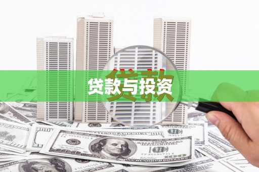 金普新区贷款与投资