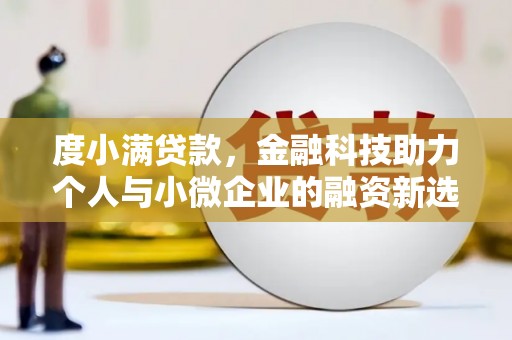 金普新区度小满贷款，金融科技助力个人与小微企业的融资新选择