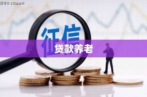 金普新区贷款养老