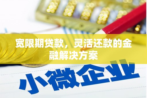 金普新区宽限期贷款，灵活还款的金融解决方案