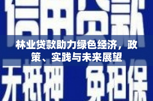 金普新区林业贷款助力绿色经济，政策、实践与未来展望