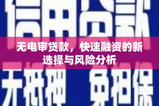 金普新区无电审贷款，快速融资的新选择与风险分析