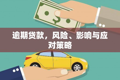 金普新区逾期贷款，风险、影响与应对策略