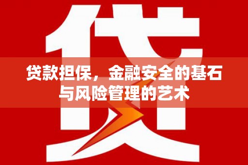 金普新区贷款担保，金融安全的基石与风险管理的艺术