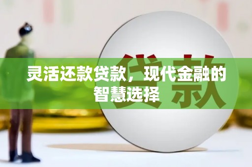金普新区灵活还款贷款，现代金融的智慧选择