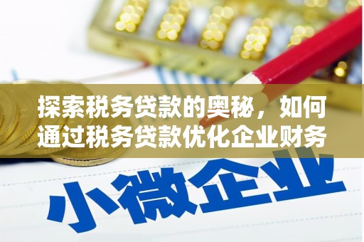 金普新区探索税务贷款的奥秘，如何通过税务贷款优化企业财务