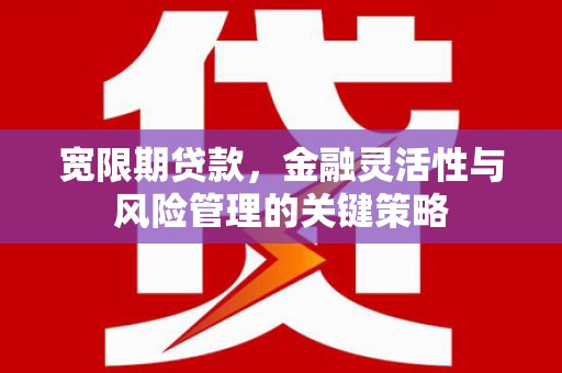 金普新区宽限期贷款，金融灵活性与风险管理的关键策略