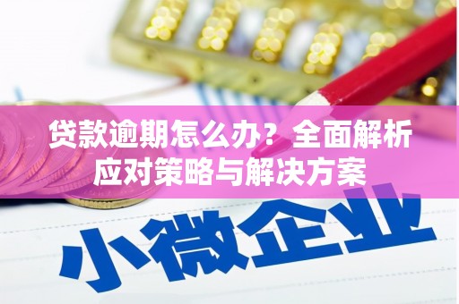 金普新区贷款逾期怎么办？全面解析应对策略与解决方案