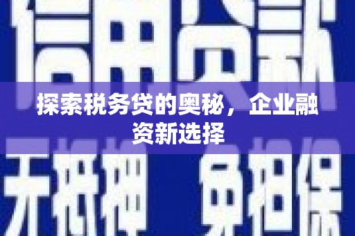 金普新区探索税务贷的奥秘，企业融资新选择