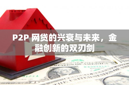 金普新区P2P 网贷的兴衰与未来，金融创新的双刃剑