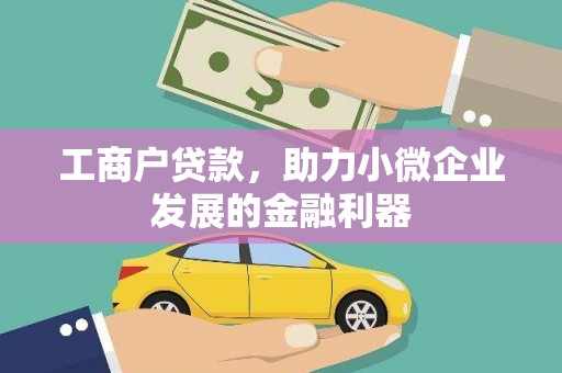 金普新区工商户贷款，助力小微企业发展的金融利器