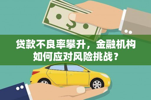金普新区贷款不良率攀升，金融机构如何应对风险挑战？