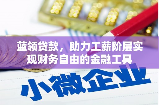 金普新区蓝领贷款，助力工薪阶层实现财务自由的金融工具