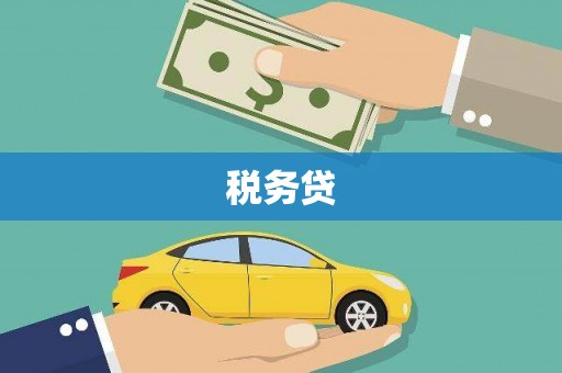 金普新区税务贷