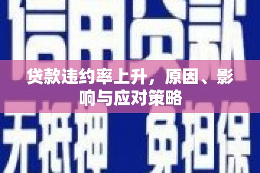 金普新区贷款违约率上升，原因、影响与应对策略