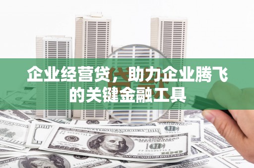 金普新区企业经营贷，助力企业腾飞的关键金融工具