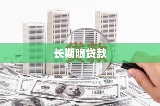 金普新区长期限贷款