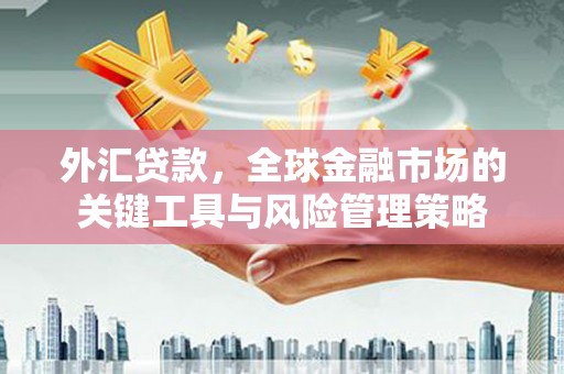 金普新区外汇贷款，全球金融市场的关键工具与风险管理策略
