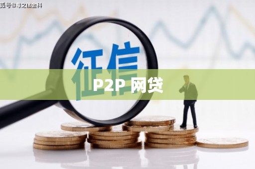 金普新区P2P 网贷