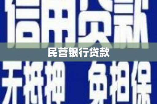 金普新区民营银行贷款
