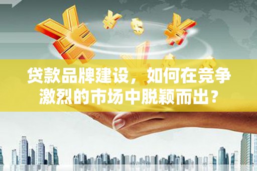 金普新区贷款品牌建设，如何在竞争激烈的市场中脱颖而出？