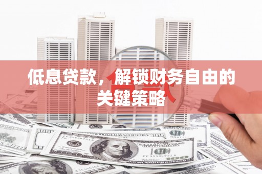 金普新区低息贷款，解锁财务自由的关键策略