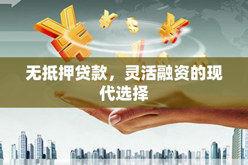 金普新区无抵押贷款，灵活融资的现代选择