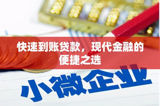 金普新区快速到账贷款，现代金融的便捷之选