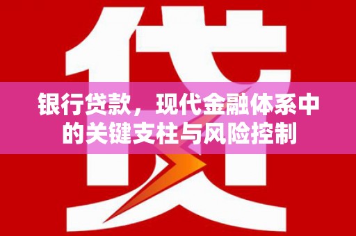 金普新区银行贷款，现代金融体系中的关键支柱与风险控制
