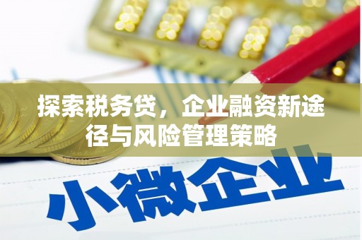 金普新区探索税务贷，企业融资新途径与风险管理策略