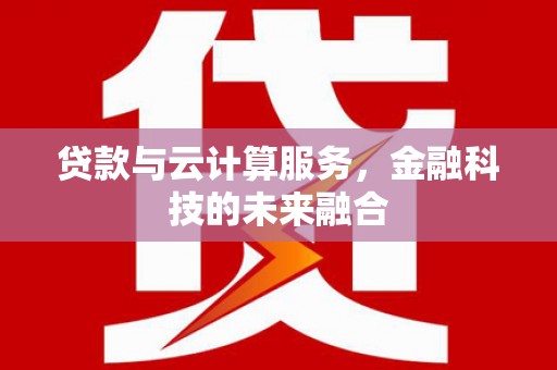 金普新区贷款与云计算服务，金融科技的未来融合