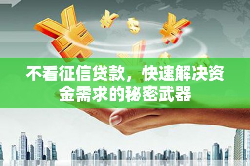 金普新区不看征信贷款，快速解决资金需求的秘密武器