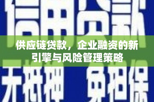 金普新区供应链贷款，企业融资的新引擎与风险管理策略