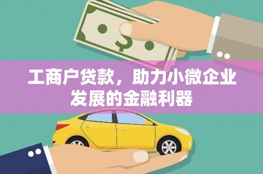 金普新区工商户贷款，助力小微企业发展的金融利器