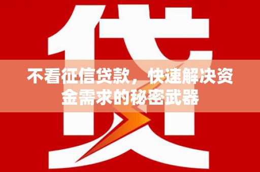 金普新区不看征信贷款，快速解决资金需求的秘密武器