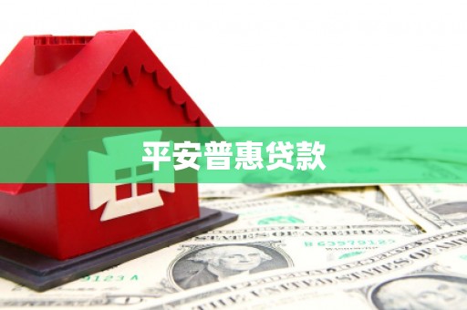 金普新区平安普惠贷款