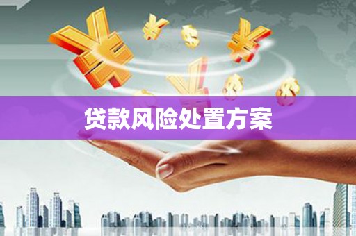 金普新区贷款风险处置方案