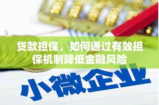 金普新区贷款担保，如何通过有效担保机制降低金融风险