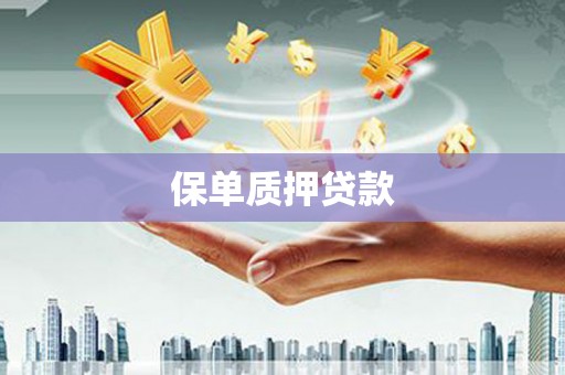 金普新区保单质押贷款