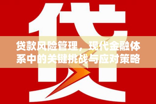 金普新区贷款风险管理，现代金融体系中的关键挑战与应对策略