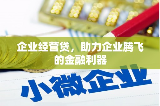 金普新区企业经营贷，助力企业腾飞的金融利器