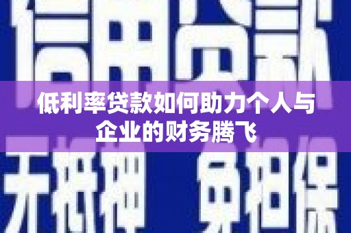 金普新区低利率贷款如何助力个人与企业的财务腾飞
