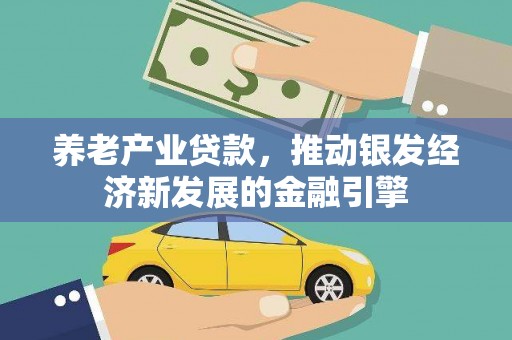 金普新区养老产业贷款，推动银发经济新发展的金融引擎