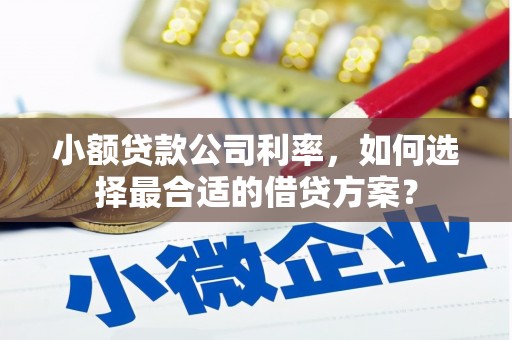 金普新区小额贷款公司利率，如何选择最合适的借贷方案？